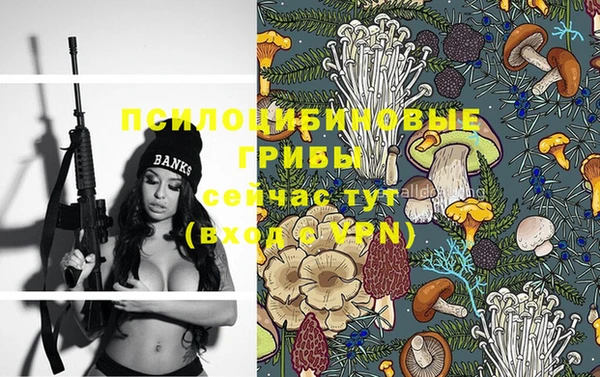 прущие крисы Тавда