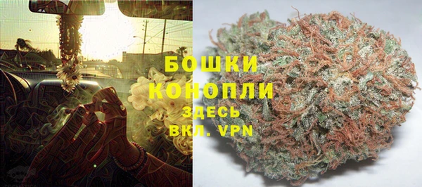 прущие крисы Тавда