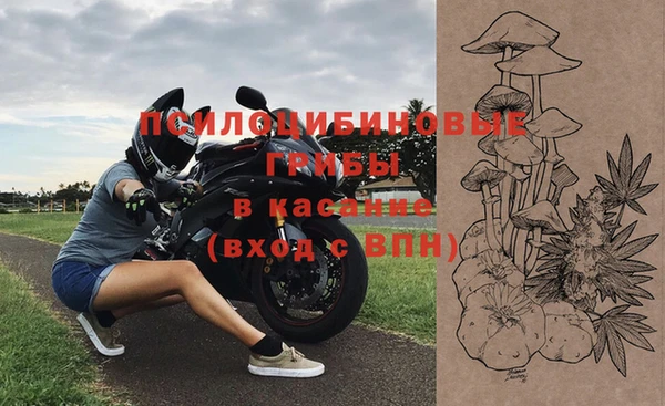 прущие крисы Тавда