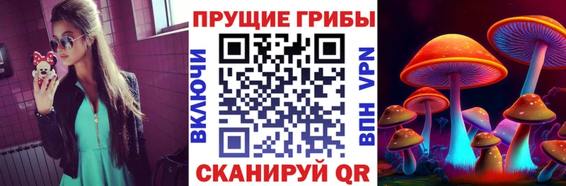 Галлюциногенные грибы Psilocybe  Архангельск 