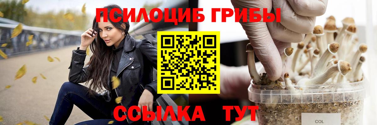 Архангельск  Галлюциногенные грибы прущие грибы  Псилоцибиновые грибы мухоморы  Вход с VPN 