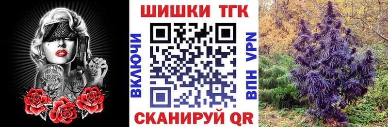 Конопля SATIVA & INDICA  дарнет шоп  Архангельск 
